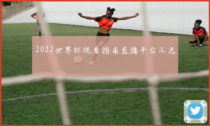 2022世界杯观看指南直播平台汇总