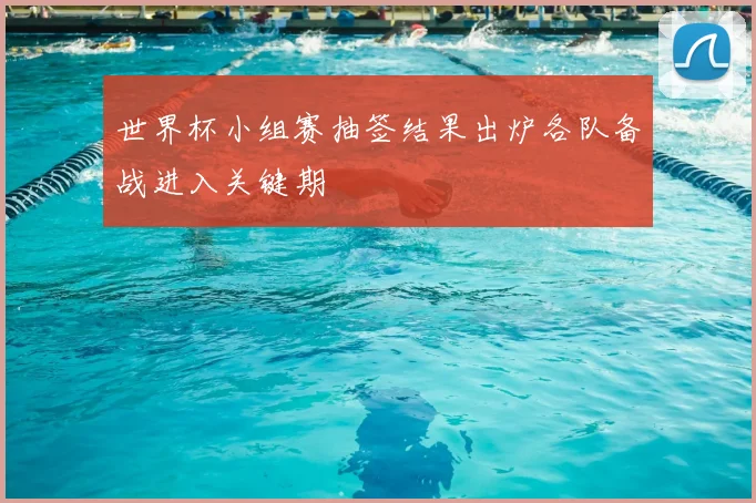 世界杯小组赛抽签结果出炉各队备战进入关键期