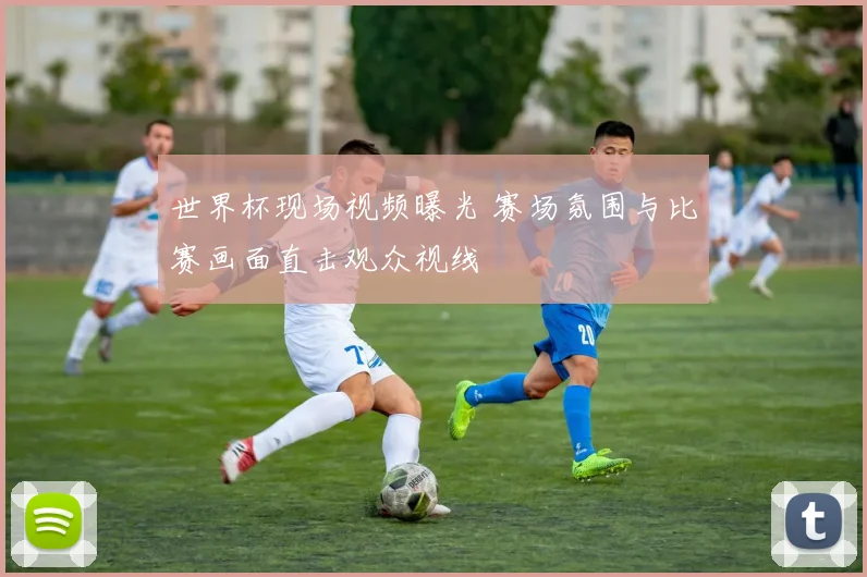 世界杯现场视频曝光 赛场氛围与比赛画面直击观众视线