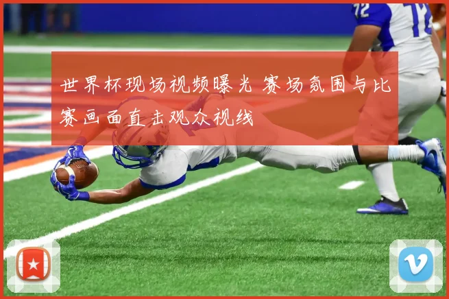 世界杯现场视频曝光 赛场氛围与比赛画面直击观众视线