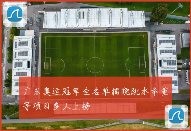 广东奥运冠军全名单揭晓跳水举重等项目多人上榜