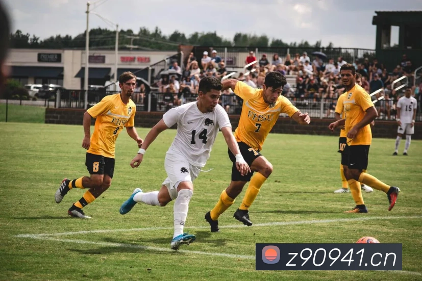 fifa2026世界杯官网首页服务体系