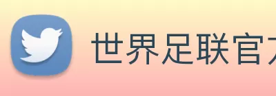 世界足联官方网站 Logo